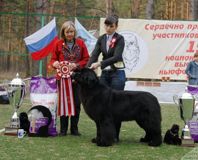 Фотография № 70229