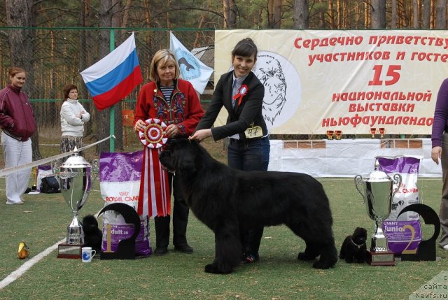 Фотография № 70231