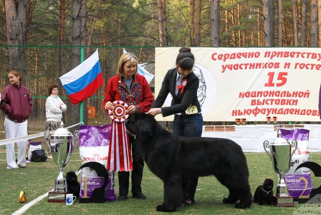 Фотография № 70233