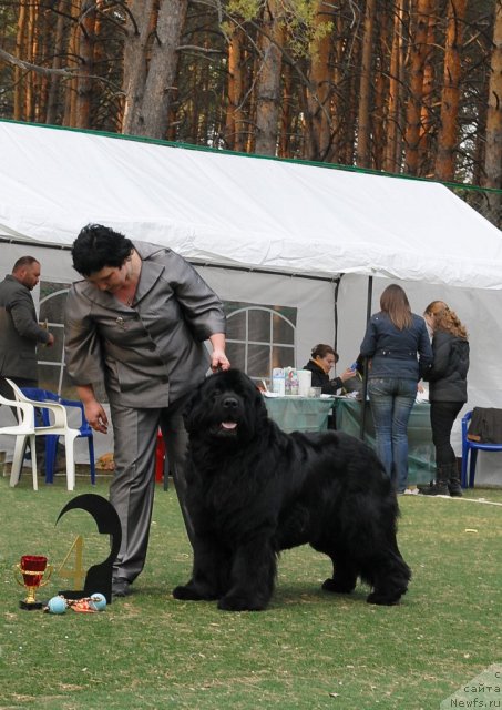 Фотография № 70237