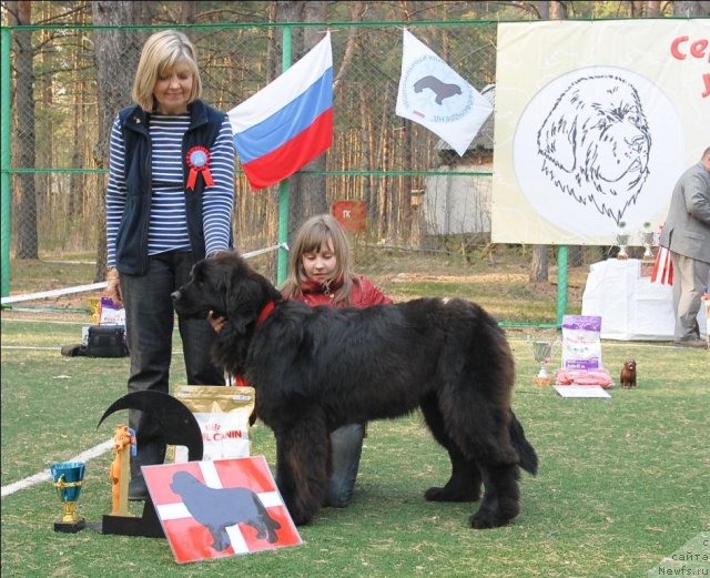 Фотография № 70279