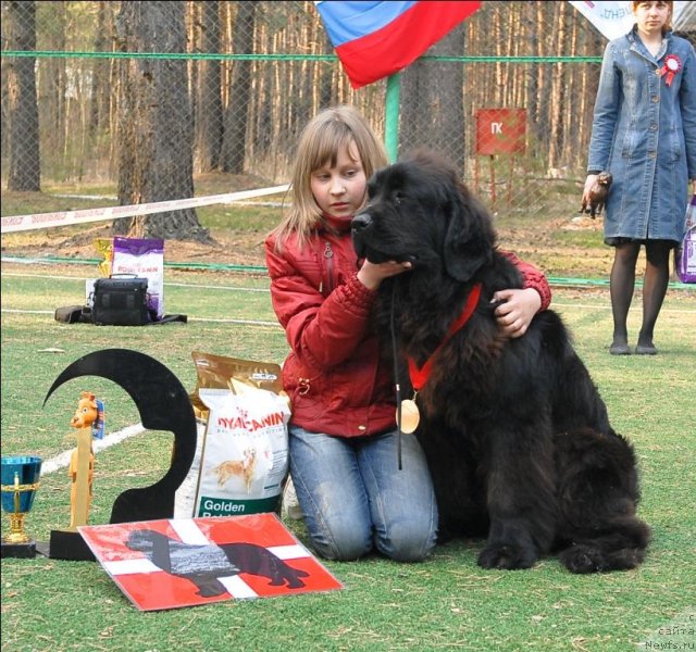 Фотография № 70280