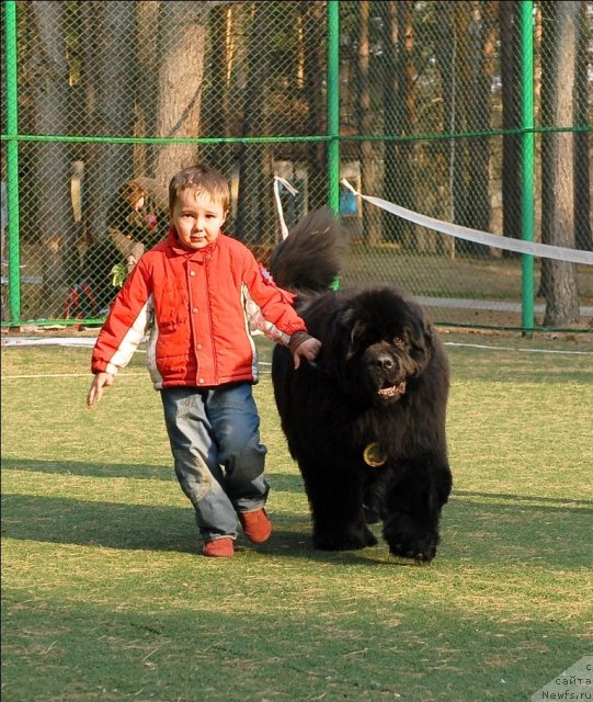 Фотография № 70286