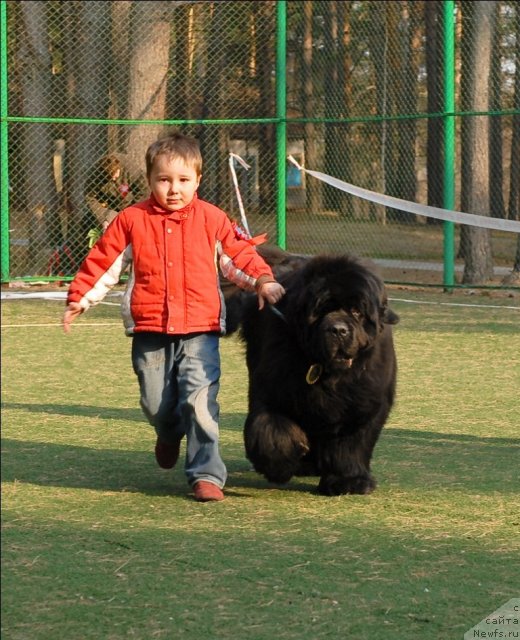 Фотография № 70287