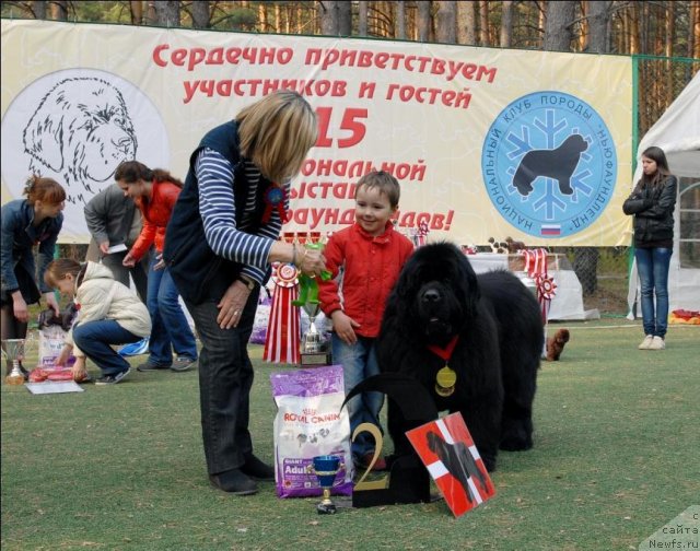 Фотография № 70294