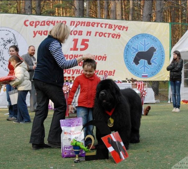 Фотография № 70295