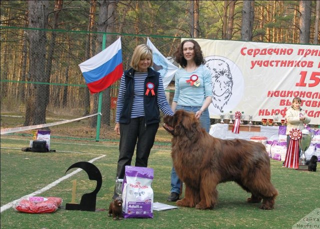 Фотография № 70297