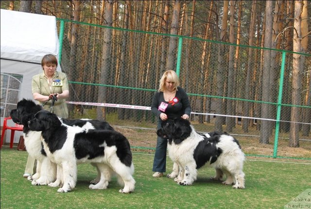 Фотография № 70303