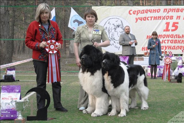 Фотография № 70304