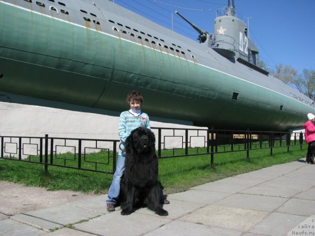 Фотография № 70310