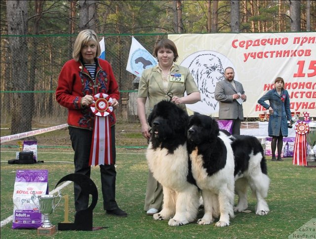 Фотография № 70311