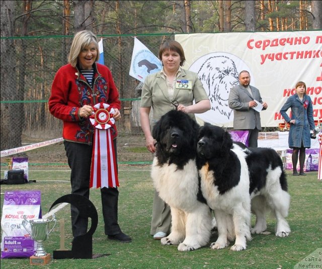 Фотография № 70312