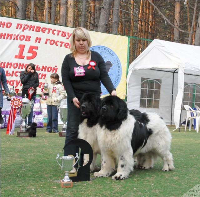 Фотография № 70314