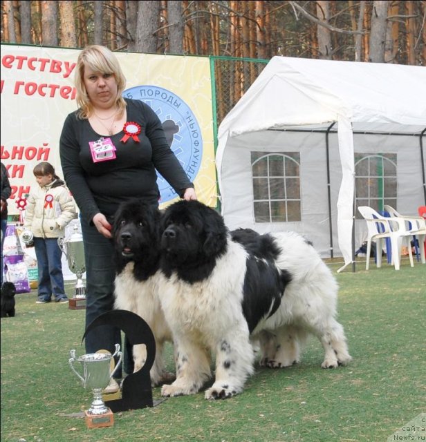 Фотография № 70315