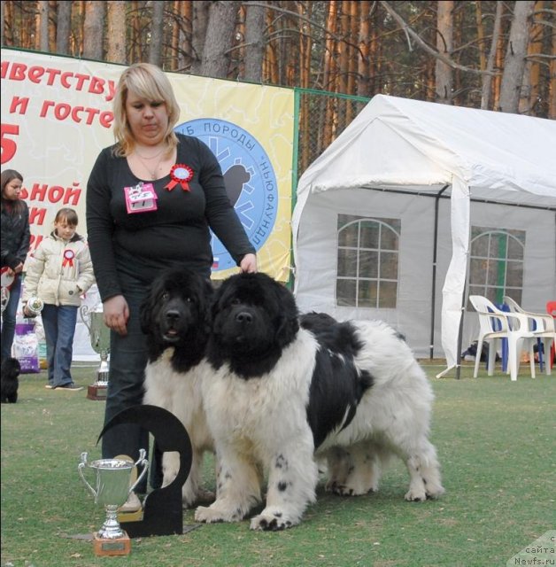 Фотография № 70316