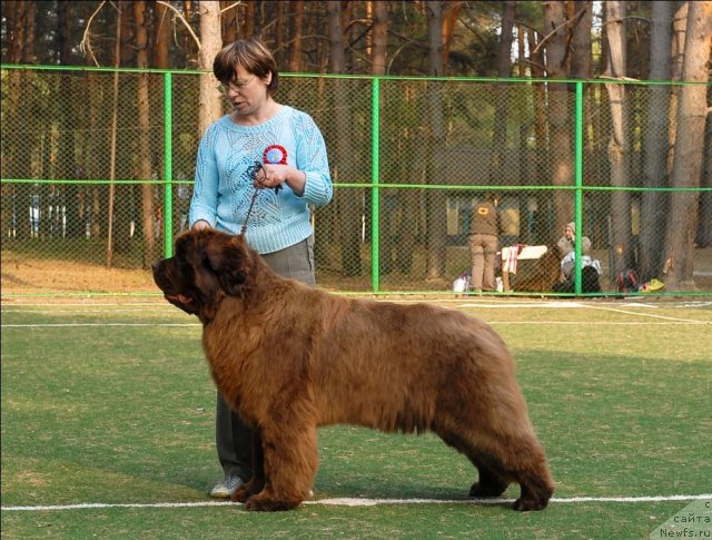 Фотография № 70320