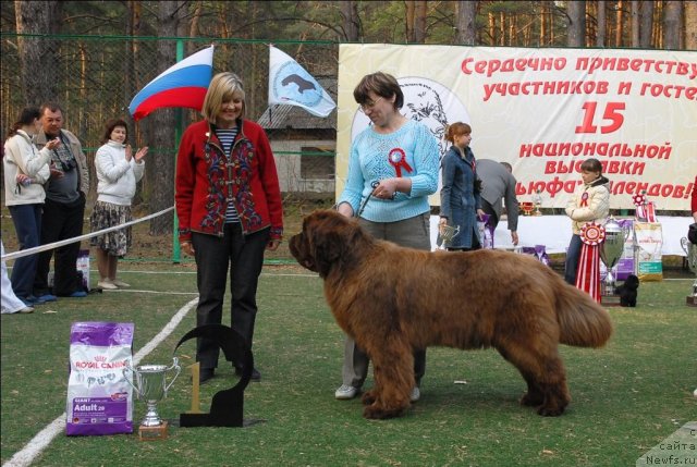 Фотография № 70321