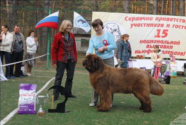 Фотография № 70322