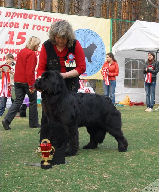 Фотография № 70324