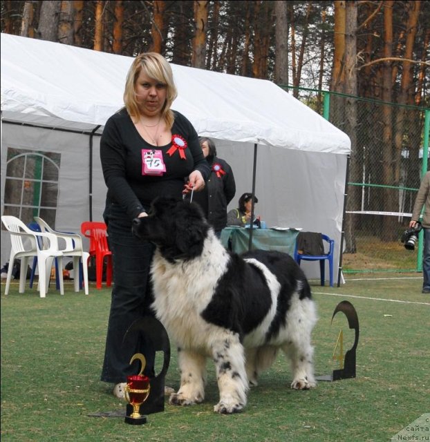 Фотография № 70326