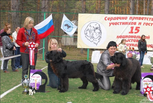 Фотография № 70327