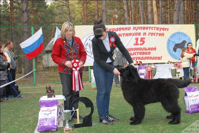 Фотография № 70328