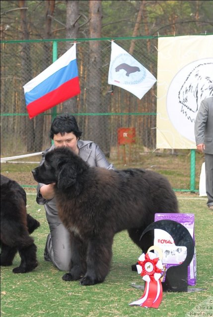 Фотография № 70329