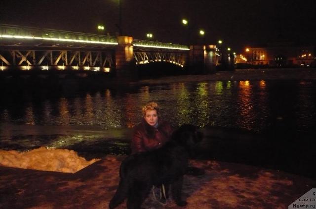 Фото: ньюфаундленд Otrada Moya ot Sibirskogo Medvedya (Отрада Моя от Сибирского Медведя), Svetlana Smirnova (Светлана Смирнова)