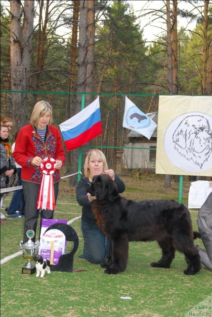 Фотография № 70331