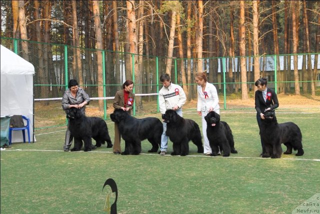 Фотография № 70333