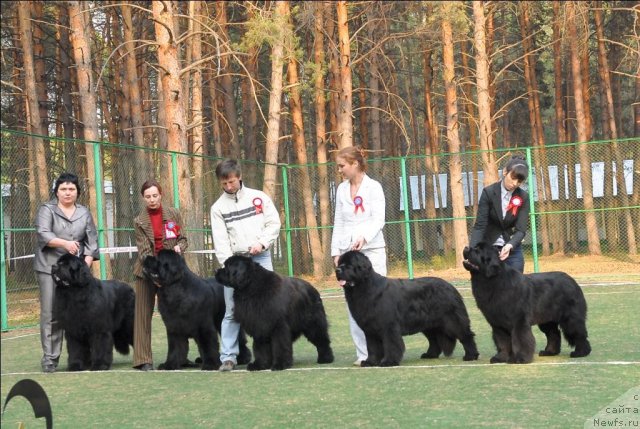 Фотография № 70335