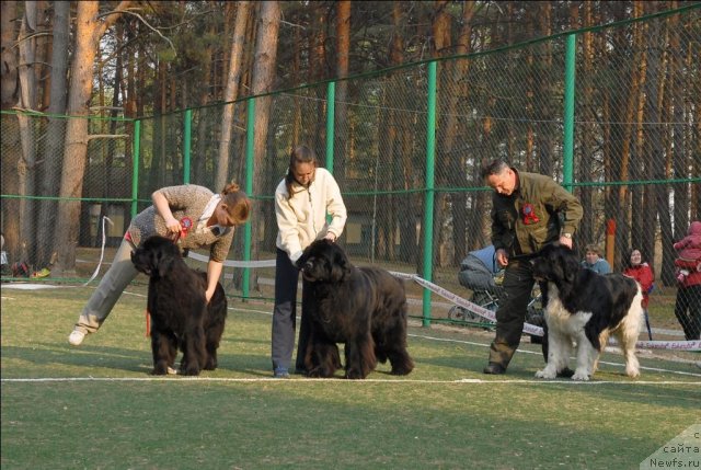 Фотография № 70337