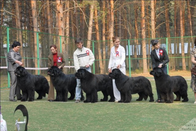 Фотография № 70339