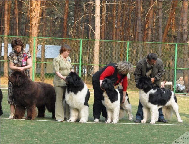 Фотография № 70341