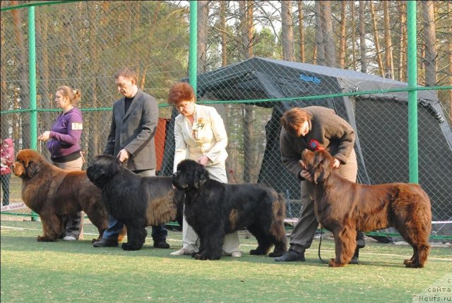 Фотография № 70342