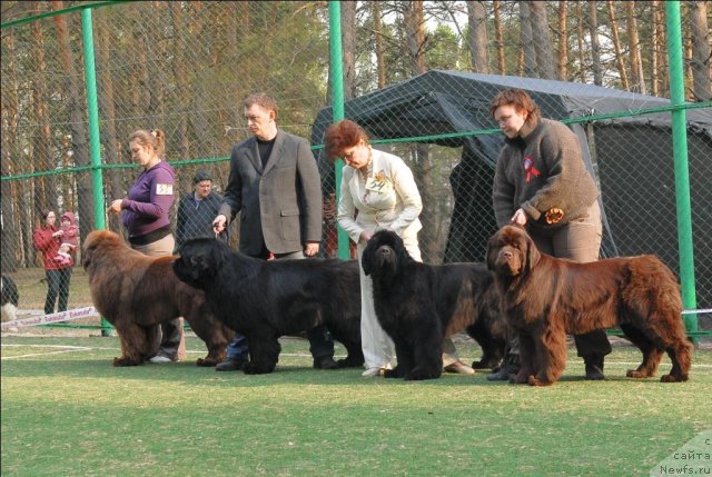 Фотография № 70343