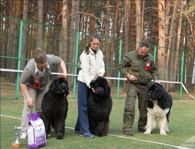 Фотография № 70350