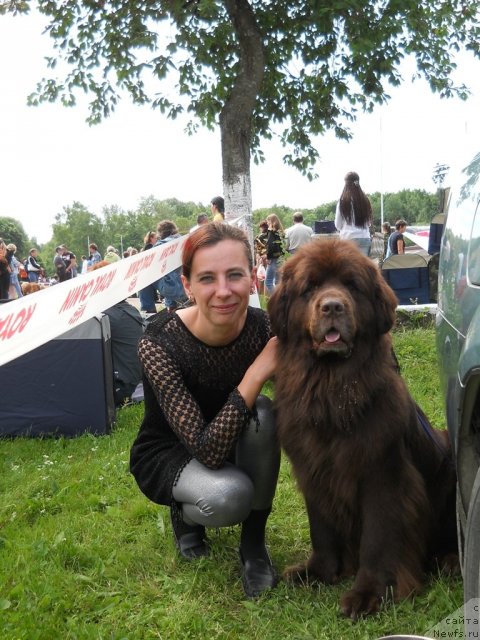 Фото: ньюфаундленд Fann'yuf Akudzyava Nazarovna (Фанньюф Акудзява Назаровна), Oksana Volkova (Оксана Волкова)