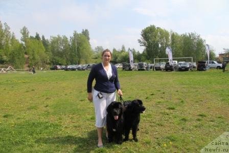 Фото: ньюфаундленд Bonni Flayt (Бонни Флайт), ньюфаундленд Restayling From SHipmyen (Рестайлинг Фром Шипмэн), Mariya SHigal' (Мария Шигаль)