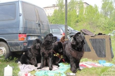 Фото: Белкондер-Клуб