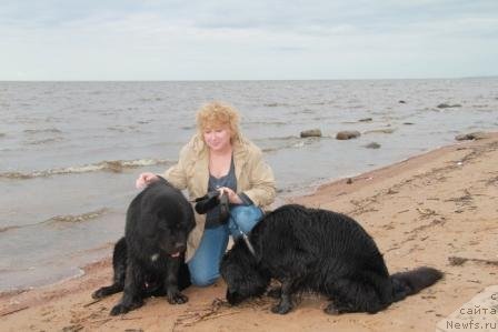 Фото: ньюфаундленд Bonni Flayt (Бонни Флайт), ньюфаундленд Restayling From SHipmyen (Рестайлинг Фром Шипмэн), Elena SHigal' (Елена Шигаль)