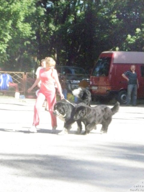 Фотография № 70474