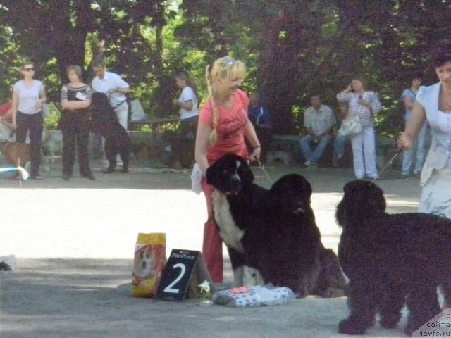 Фотография № 70475