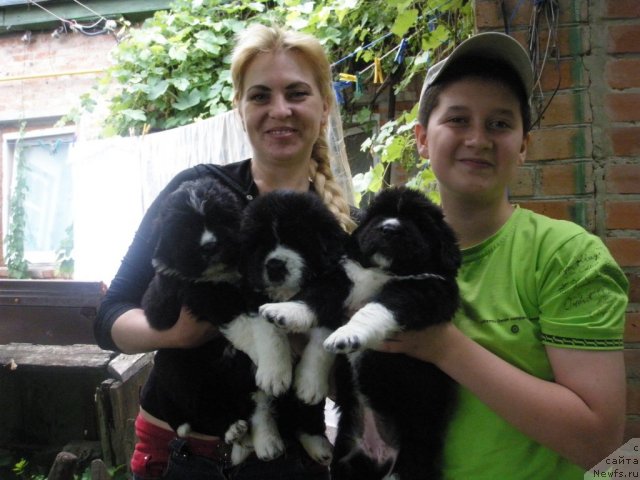 Фотография № 70492