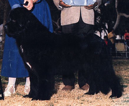 Фотография № 70546