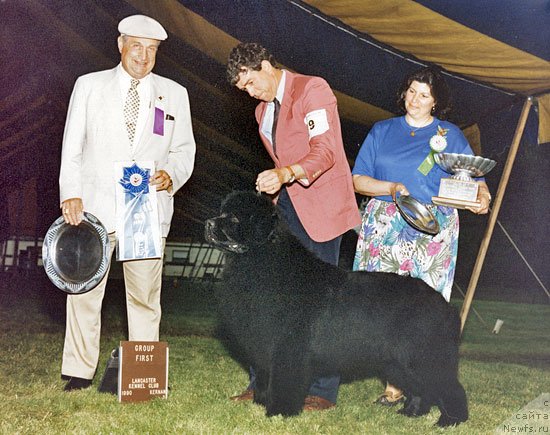 Фото: AM. CH. SPILLWAYS SCARLETT O'BARA, ROM

Pet Name: 	 Lettie  
Sex: 	 Female  
Colour: 	 Black with small white chest marking  
DoB: 	 6  August 1984 
Hips: 	 Excellent