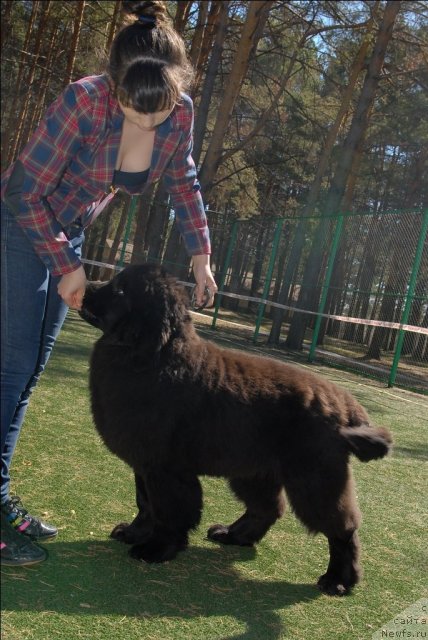 Фотография № 70580