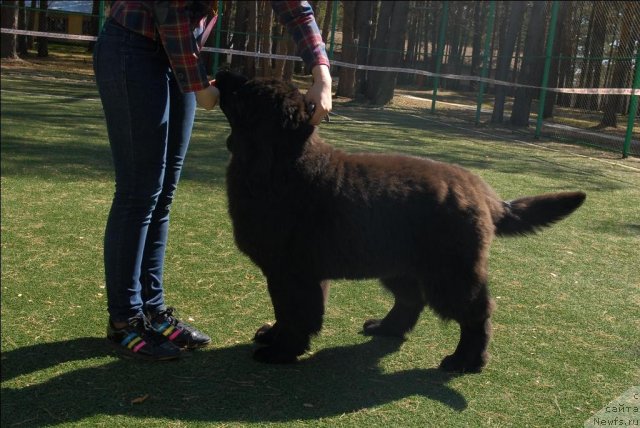 Фотография № 70581