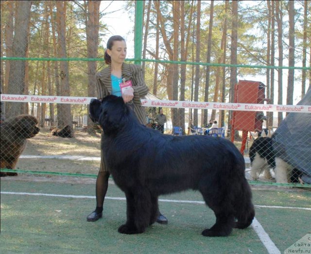 Фотография № 70586