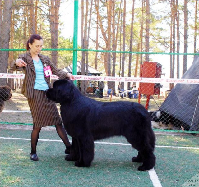 Фотография № 70587